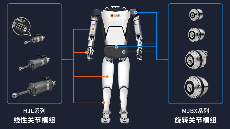 人形機器人